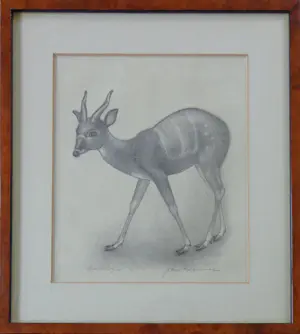 Jan Bezemer - ANTILOPE / ZW-W LITHO / 29x26cm / KADER / SIG kopen? Bied vanaf 30!