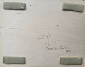 Danica Phelps - making love with Debi kopen? Bied vanaf 400!