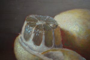 Eduard Pieter Moleveld - Stilleven met citroenen - incl. het monumentale De kunst van het stilleven kopen? Bied vanaf 125!