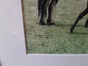 Wiebe A van der Zee - Zeefdruk, Paarden. kopen? Bied vanaf 40!