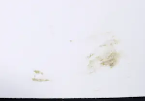 Robbert Fortgens - Zeefdruk, Abstracte compositie kopen? Bied vanaf 1!