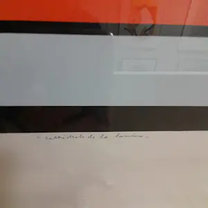 Guy Vandenbranden - La cathedrale de la lumiere kopen? Bied vanaf 495!