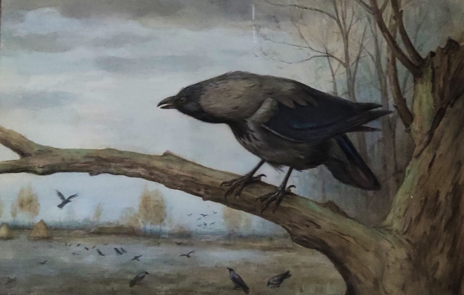 Jan van Oort - Bonte kraai op boomtak kopen? Bied vanaf 295!