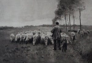 Henri Koetser - Litho: Schaapsherder met schapen kopen? Bied vanaf 45!