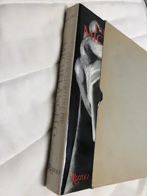 Michelangelo - sculpture of kopen? Bied vanaf 35!