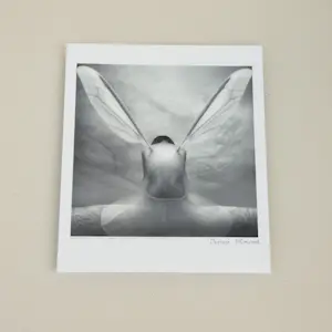 Dariusz Klimczak - 'Night Fly' (2011) - GRATIS VERZENDING kopen? Bied vanaf 70!