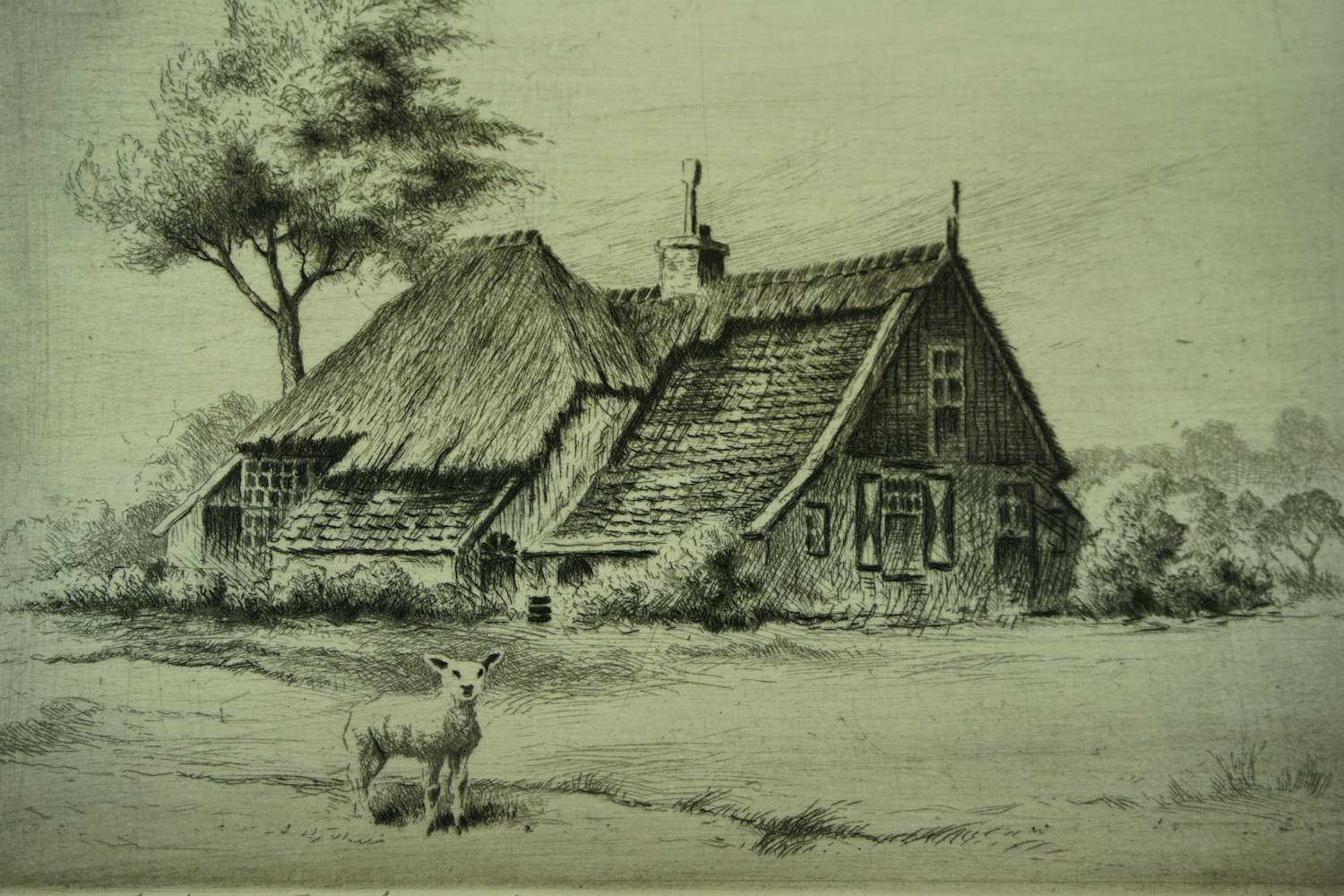 Maarten Langbroek - Boerderij Texel kopen? Bied vanaf 27!