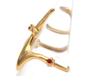 Geelgouden  Designer ring ( SIDRA) bezet met Robijn kopen? Bied vanaf 120!