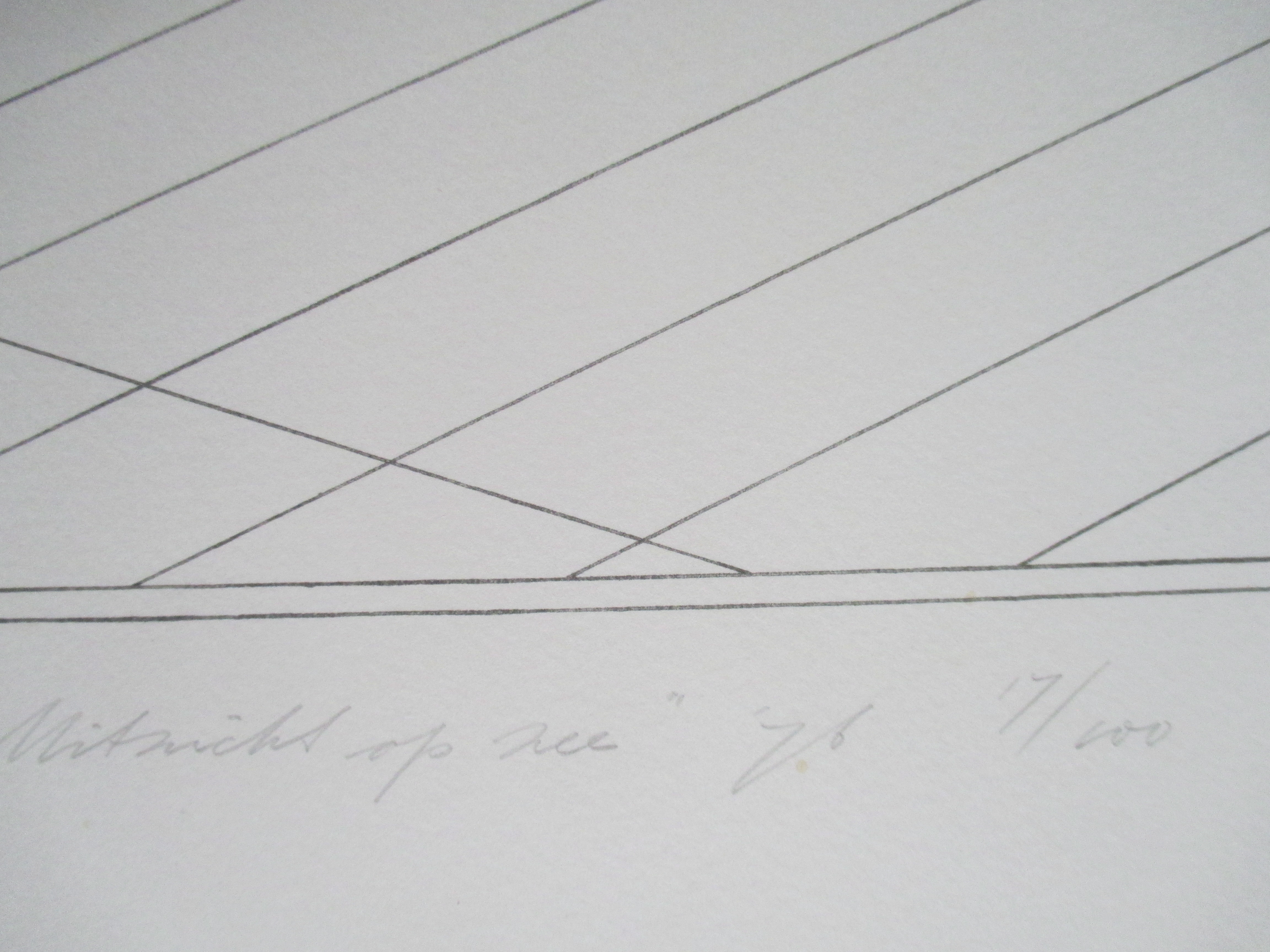 Marinus Fuit - Litho "Mit Sicht op zee" kopen? Bied vanaf 20!