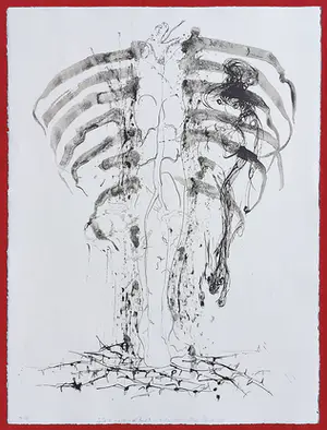Marc Mulders - T.I.P. - Anatomie V, litho kopen? Bied vanaf 195!