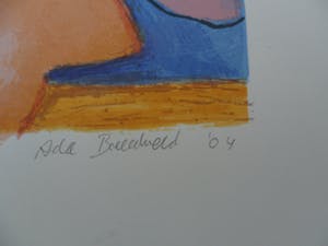 Ada Breedveld - Zeefdruk. Titel, "Hiep, Hiep, Hoera" . kopen? Bied vanaf 50!
