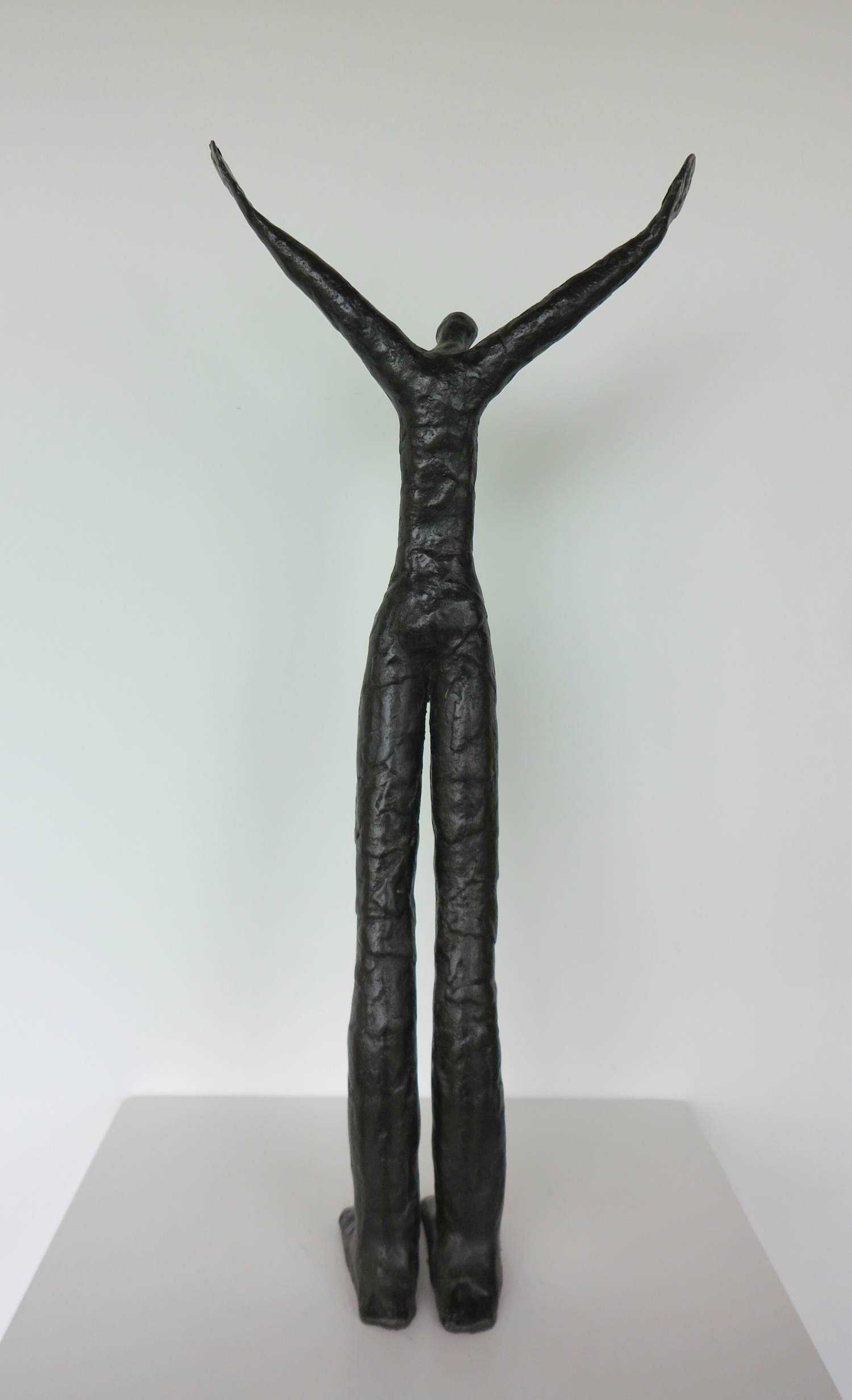 Jitse Sikkema - Gevoel voor vrijheid (Brons) kopen? Bied vanaf 550!