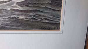 Anthonie van der Burch - Willem van der Burch kopen? Bied vanaf 1!