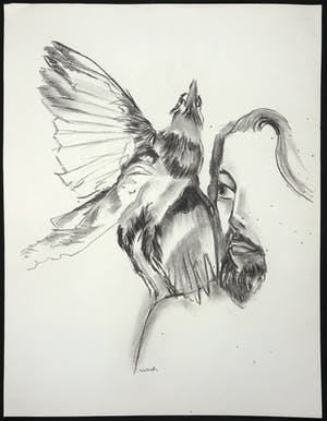 Joe Wols - Potloodtekening, Vogel kopen? Bied vanaf 1!