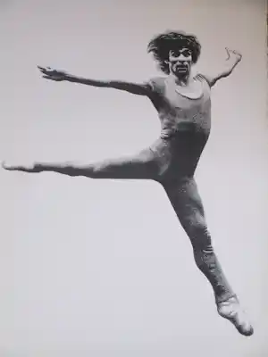 Jean Paul Vroom - Balletdanser Nureyev - Zeefdruk verkauft für € 48!