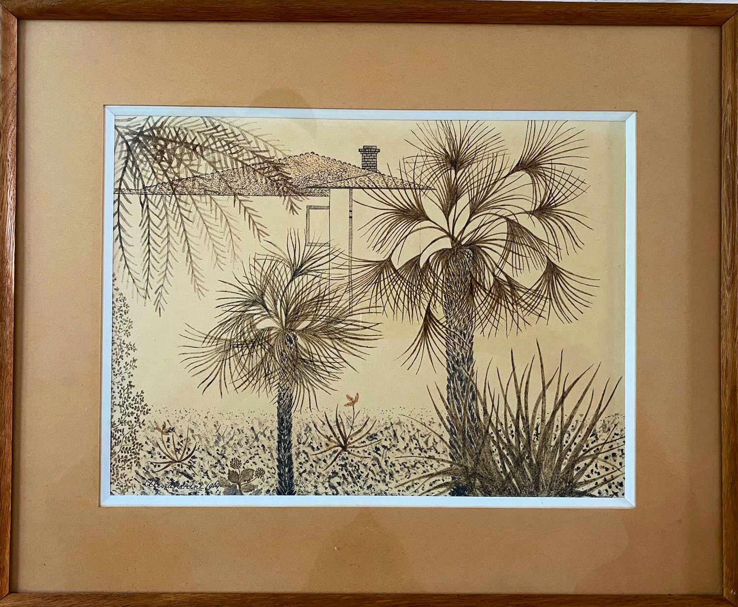 Alexandrine - Palmbomen verkocht voor € 100!