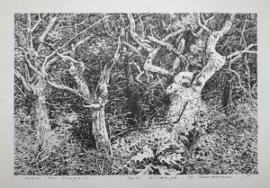 Han van Hagen - Het Wildrijk - St. Maartenszee kopen? Bied vanaf 1!