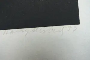 Harry Disberg - ZIEKE POES kopen? Bied vanaf 40!