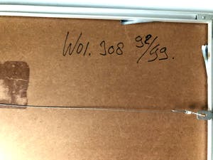 Piet Warffemius - Slangekracht - Zeefdruk, Fraai Ingelijst kopen? Bied vanaf 80!