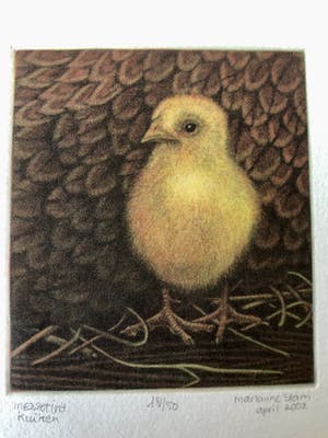Marianne Stam - Schitterende mezzotint kleuren ets van " KUIKEN " kopen? Bied vanaf 20!