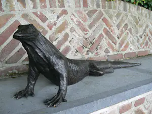 Peter Petersen - Komodo Varaan (uniek!) kopen? Bied vanaf 2895!
