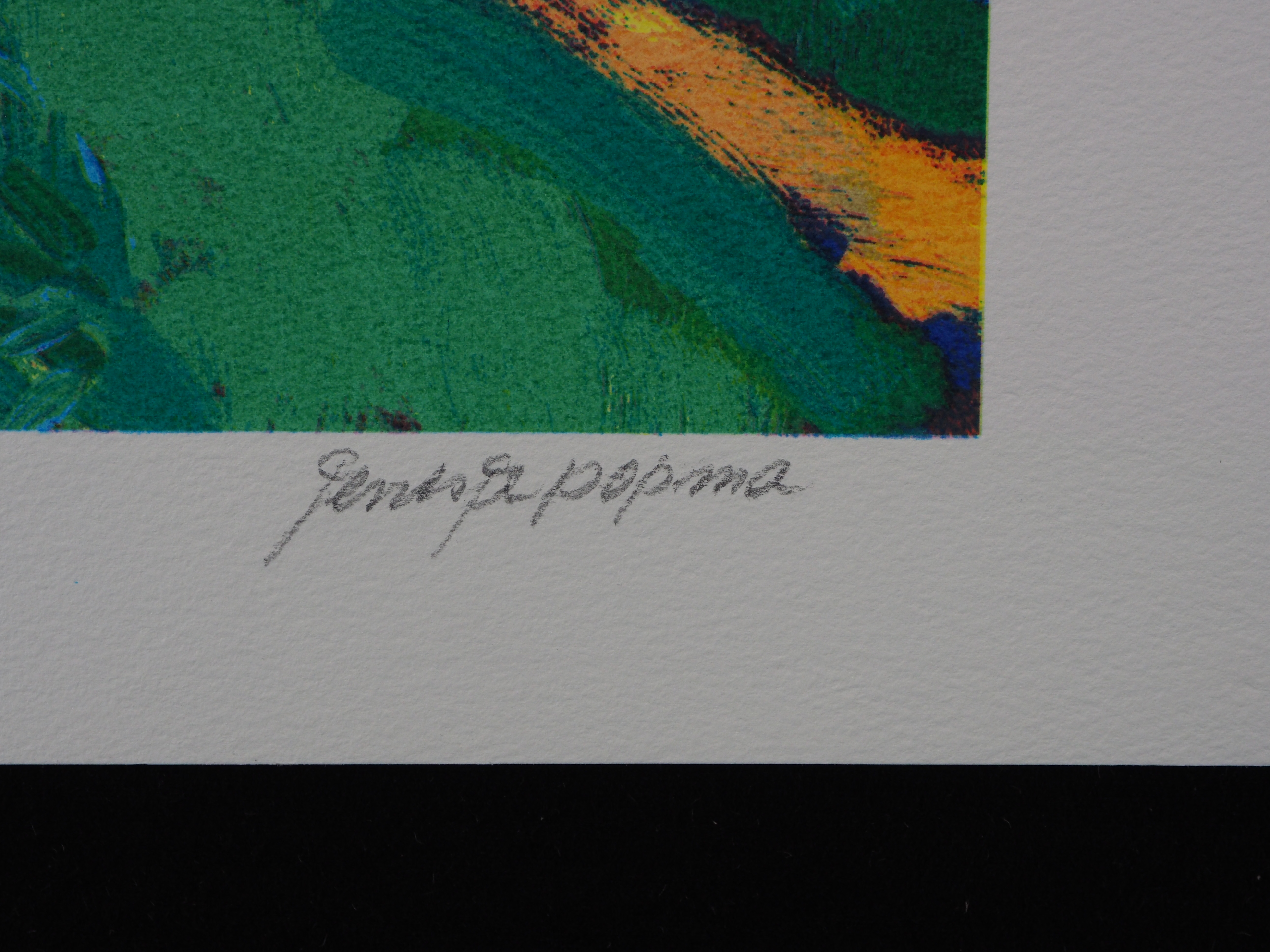 Jentsje Popma - Bollenveld kopen? Bied vanaf 50!