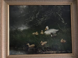 Constant Artz - Eendjes in het water kopen? Bied vanaf 2500!