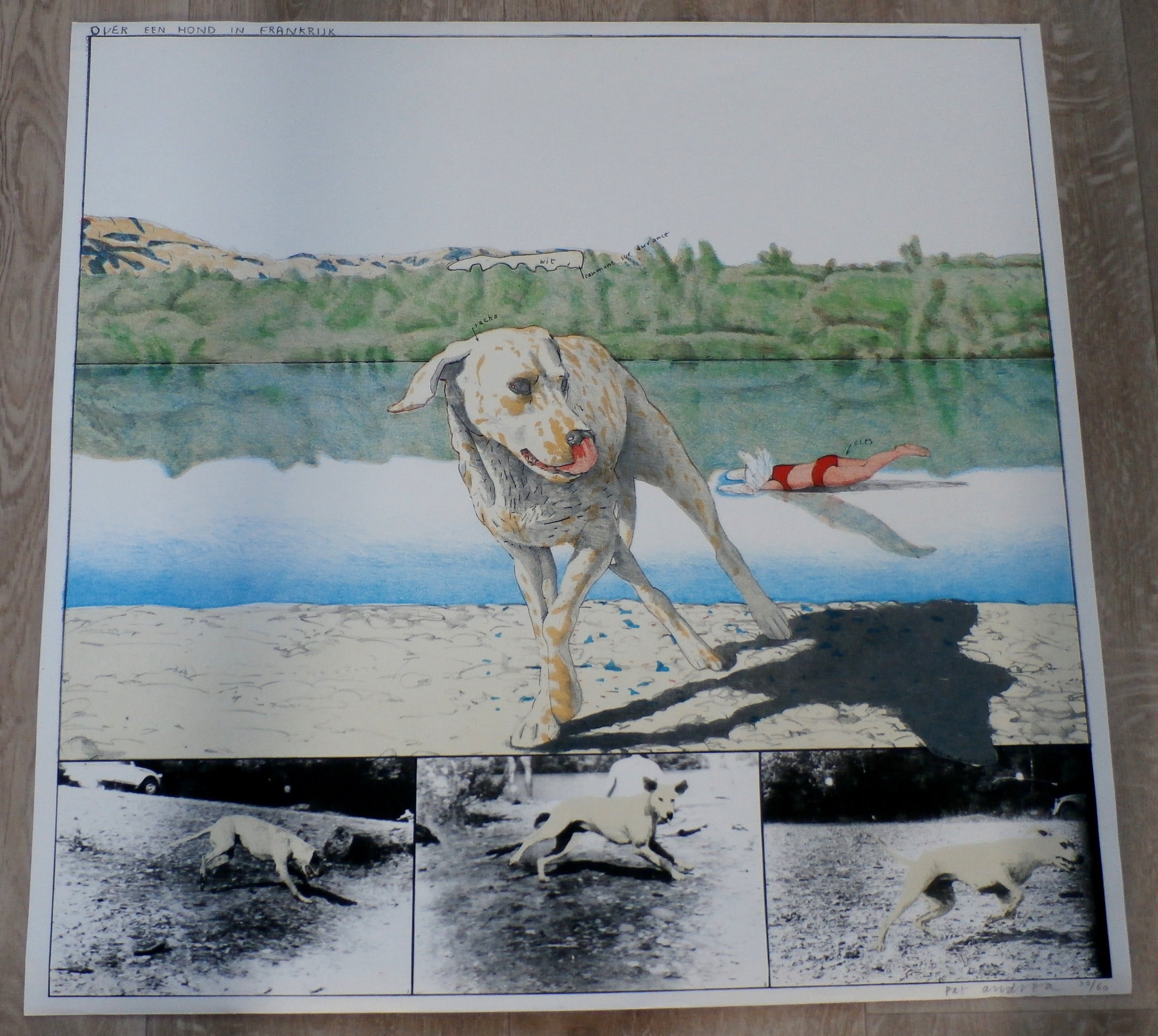 Pat Andrea - Litho: Over een hond in Frankrijk  kopen? Bied vanaf 100!