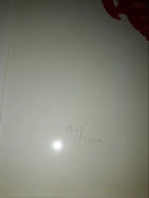 Karel Appel - Thought's boomerang kopen? Bied vanaf 125!