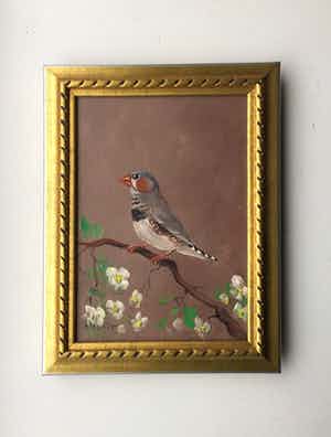 Henk Poeder - Vogel verkocht voor € 50!