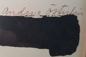 Anders Osterlin - grafisch werk zonder titel kopen? Bied vanaf 215!