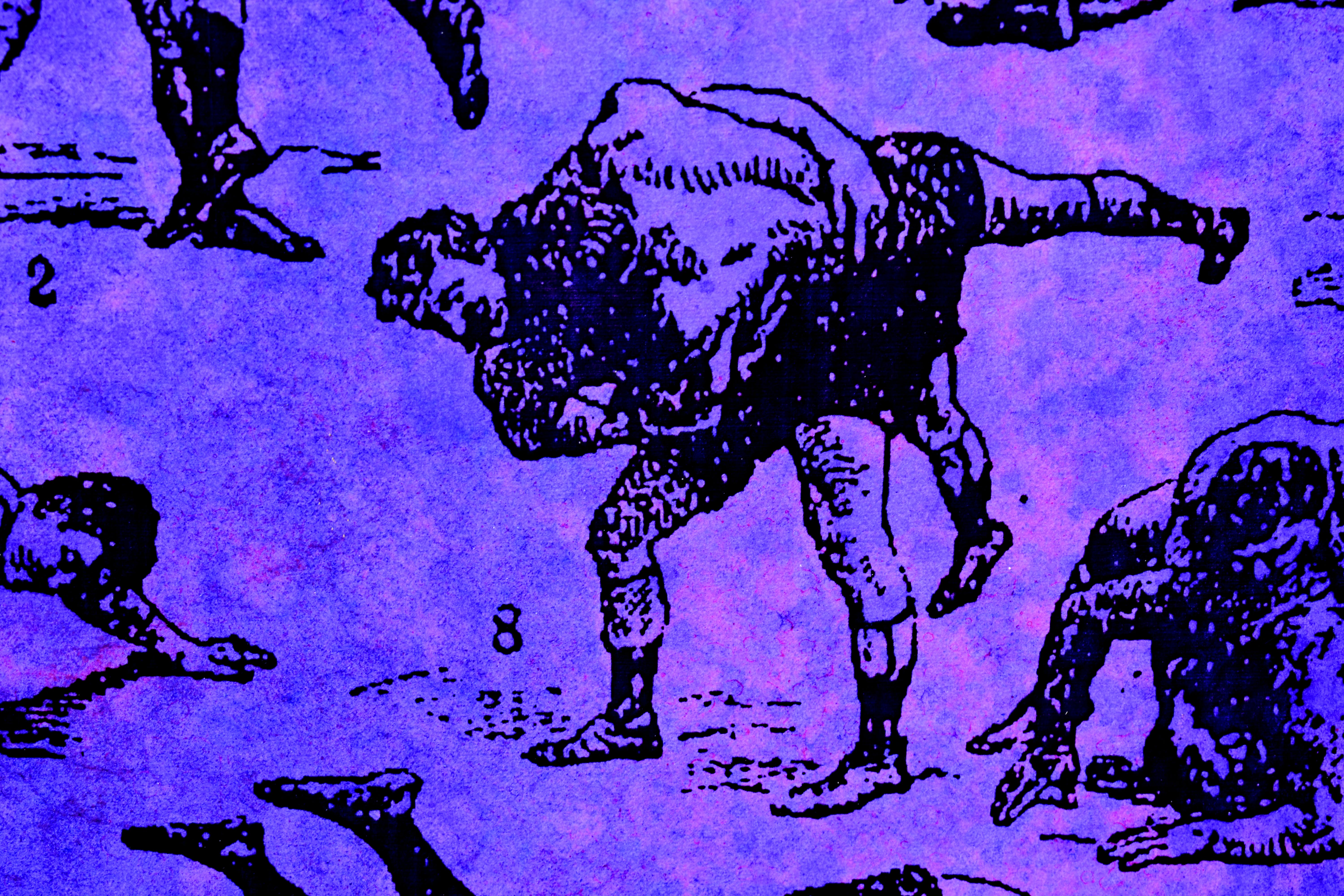 Jan Bollaert - WAR EXTRA kopen? Bied vanaf 145!