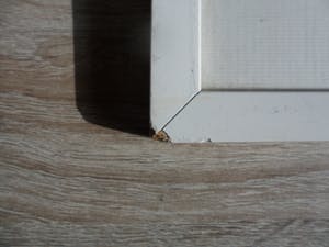 Theo Ros - Gravure. Titel. "Wieringer Klaagvrouwen". uit 1974 kopen? Bied vanaf 20!