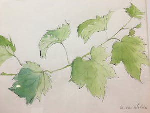 Annemarie van Wolde-Mulder - Groen. kopen? Bied vanaf 1!