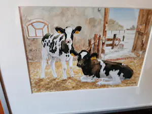 Wiebe A van der Zee - Wiebe A van der Zee - Zeefdruk, 2 kalveren. kopen? Bied vanaf 40!