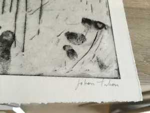 Johan Tahon - Taikonaut kopen? Bied vanaf 325!