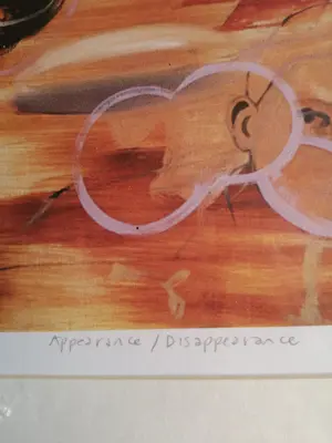 Karin Bos - Appearance/ Disappearence kopen? Bied vanaf 20!