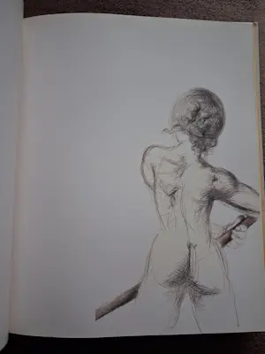 Salvador Dali - Carnets érotique kopen? Bied vanaf 40!