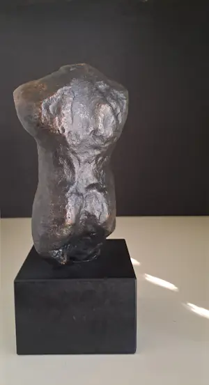 Susanne den Hoed - Torso man en vrouw kopen? Bied vanaf 120!