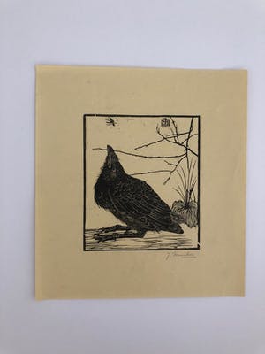 Jan Mankes - Houtsnede kleine kraai kijkend naar mugje - Gesigneerd - 1918 kopen? Bied vanaf 395!