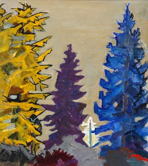 Hans Ebeling Koning - Naaldbomen kopen? Bied vanaf 50!