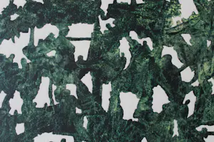 Ad van Riel - A clear blue sky kopen? Bied vanaf 140!