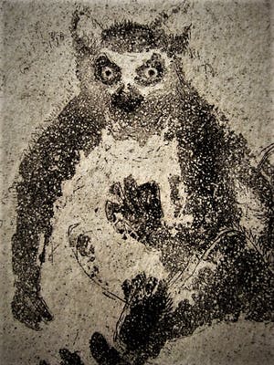 Niet of onleesbaar gesigneerd - Fraaie droge naald Ets - ringstaart Maki - zeer kleine oplage (6) - gesigneerd kopen? Bied vanaf 1!