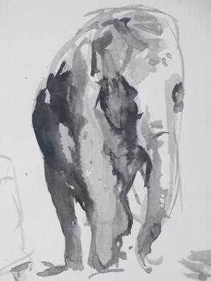 Willem van Dort - In de dierentuin - Aquarel/inkt kopen? Bied vanaf 40!