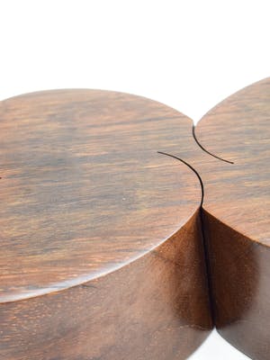 Sjef Voets - Venus kopen? Bied vanaf 100!