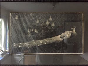 Henri Verstijnen - "Pauw" - Houtsnede, Ingelijst kopen? Bied vanaf 80!