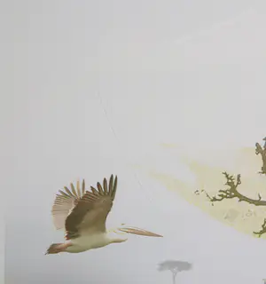 Kim Heesakkers - Foto, Finding my roots - Ingelijst (Groot) kopen? Bied vanaf 50!