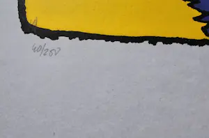 Herman Brood - Tuinbroek Cabriolet - handgesigneerd - 250 ex kopen? Bied vanaf 1!