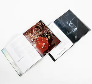 Damien Hirst - gesigneerd, 'Requiem I en II', exclusieve uitgave in linnen slipcase kopen? Bied vanaf 990!