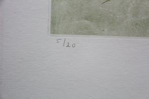 Jan Montyn - ets/aquatint - 1975 kopen? Bied vanaf 99!